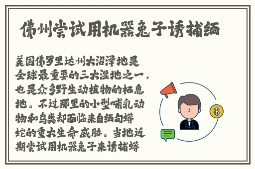 榴莲视频 秋 绿巨人免费观看